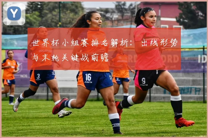 世界杯小组赛排名解析：出线形势与末轮关键战前瞻
